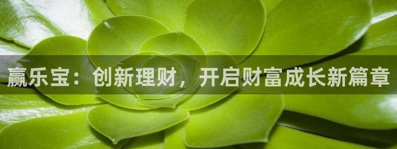 好彩运体育游戏：赢乐宝：创新理财，开启财富成长新篇章