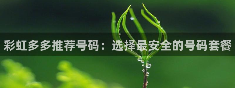 好彩运平台主管：彩虹多多推荐号码：选择最安全的号码套餐