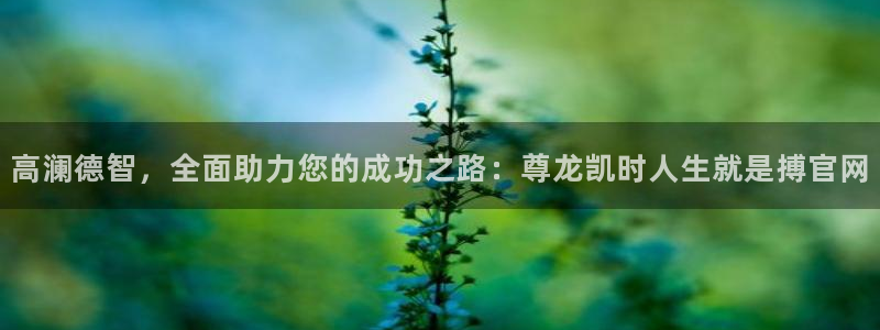 好彩运平台主管：高澜德智，全面助力您的成功之路：尊龙凯时人生就是搏官网