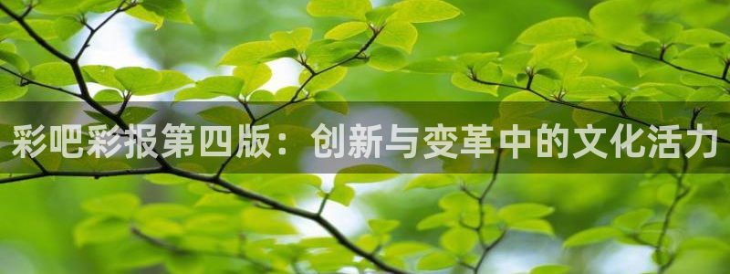 好彩运体育凯捷平台招商：彩吧彩报第四版：创新与变革中的文化活力