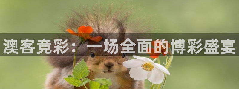 好彩运平台注册入口：澳客竞彩：一场全面的博彩盛宴